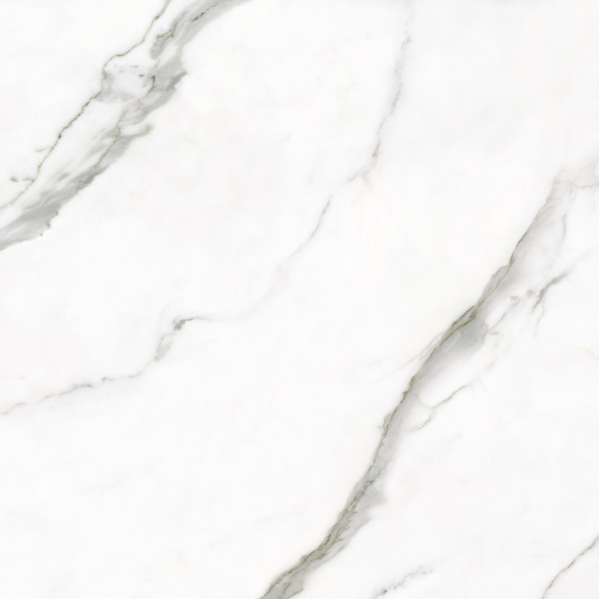 Marble - Calacatta White