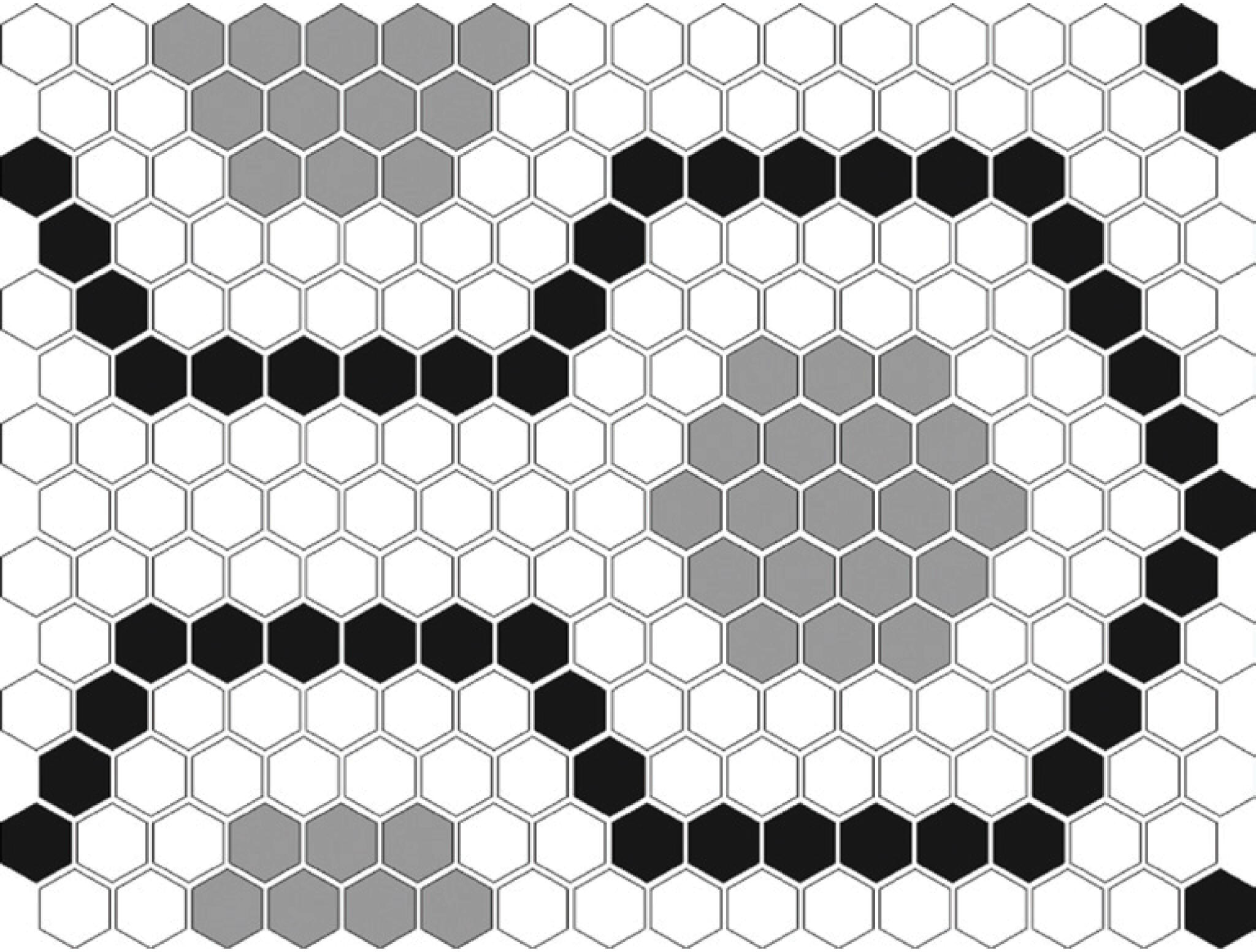 Hexagon Pattern - V-NS8219- Porcelain Mosaic