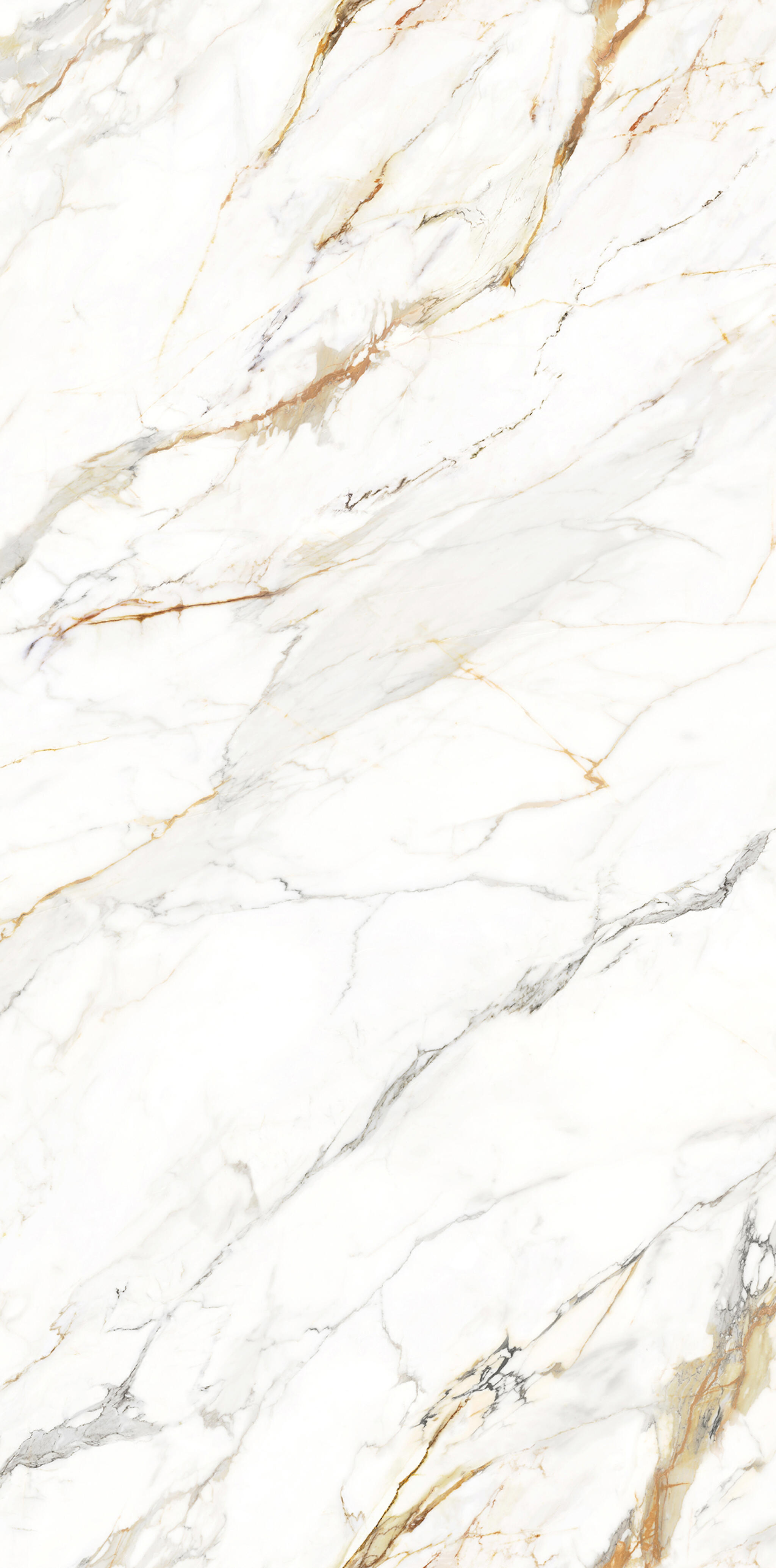 Carrara Golden - Eleganza Tiles